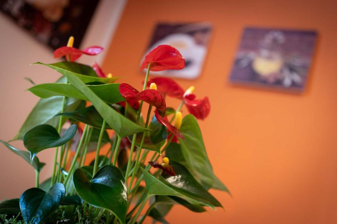 Casa Martina- Airport Free Shuttle-H24 Apartment Бергамо Екстериор снимка